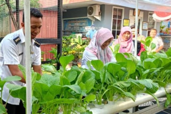 Kecamatan Karawaci Sukses Terapkan Urban Farming