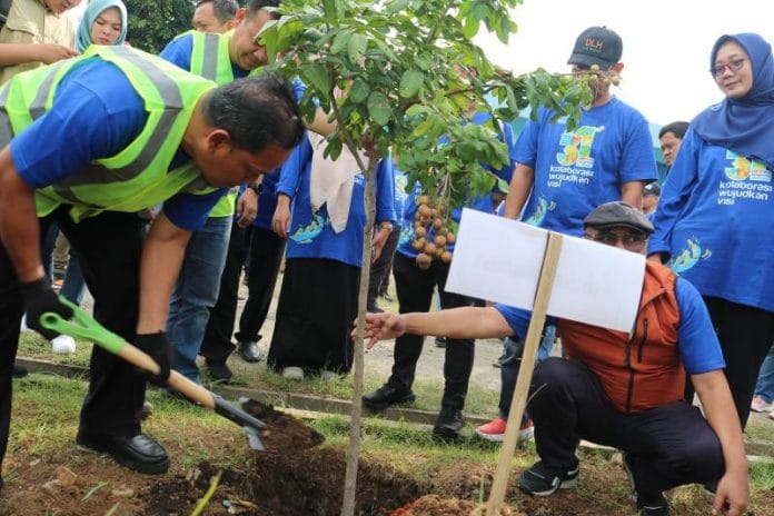 Upaya Jaga Lingkungan, Perumda Tirta Benteng Tanam 3.100 Pohon di Bantaran Sungai Cisadane