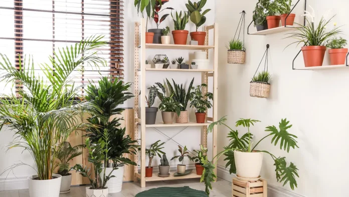 10 Ide Taman Minimalis untuk Interior Dalam Rumah
