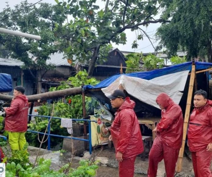 Waspada Bencana Musim Hujan, Pemkot Tangerang Siagakan Penanganan Pohon Tumbang