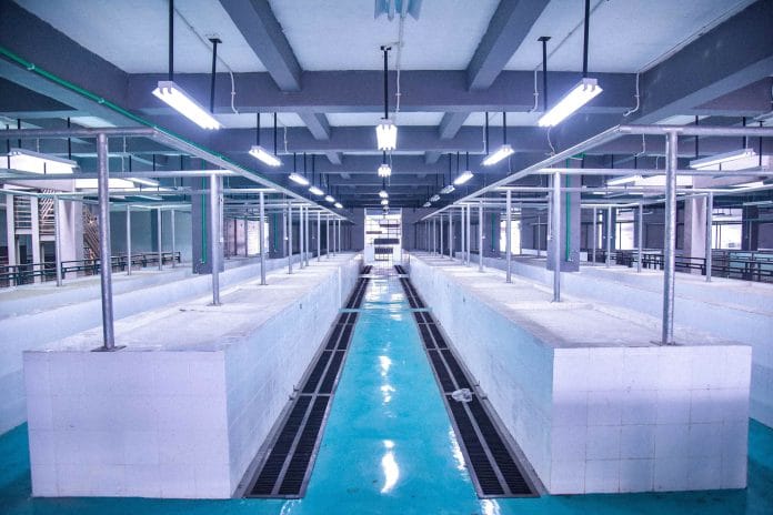 Pemkot Tangsel Siapkan Ratusan Los Kosong Secara Gratis di Pasar Ciputat, Berikut Cara Daftarnya