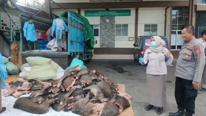 Penyelundupan 2,9 Ton Daging Celeng Diamankan di Pelabuhan Merak