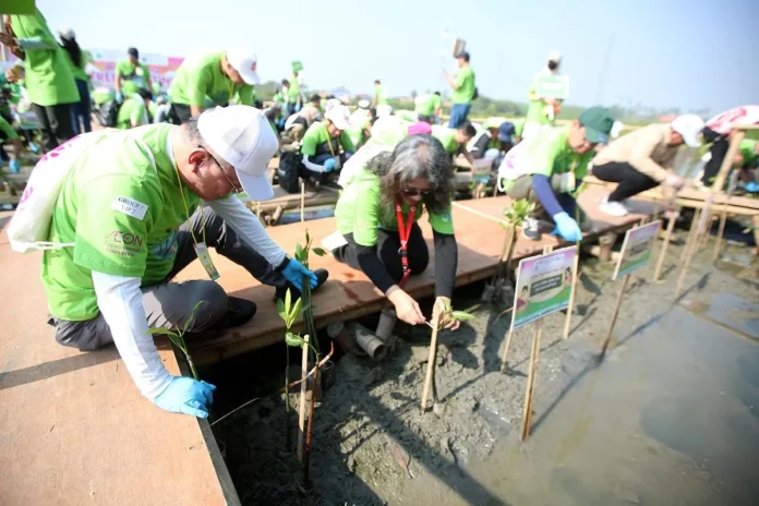 Pemkab Tangerang Galakan Pelestarian Lingkungan Dengan Penanaman 1.000 Bibit Pohon Bakau di Pesisir