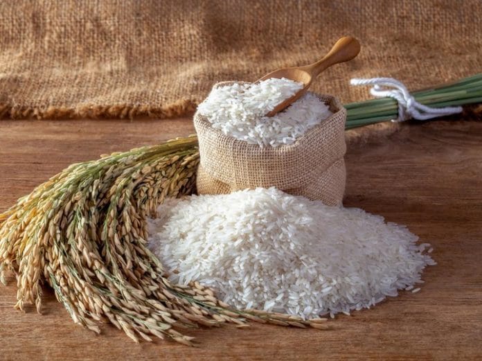 Update, Harga Beras di 205 Daerah Mengalami Kenaikan, Paling Tinggi Jadi Rp 54 Ribu/Kg