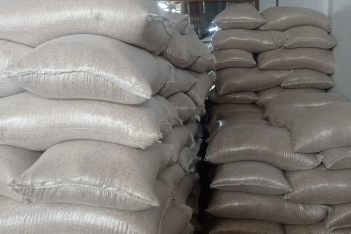 Produksi Gabah Kering Giling di Kabupaten Lebak Tembus 382.293 Ton