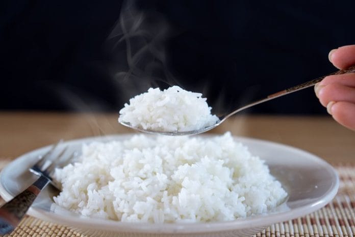 Menjalani Diet Tanpa Konsumsi Nasi Bisa Efektif atau Hanya Mitos? Ini Faktanya