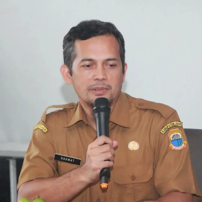 Lebak Perkukuh Status Lumbung Padi Banten, Produksi Beras Melonjak Tajam Capai 269.894 Ton