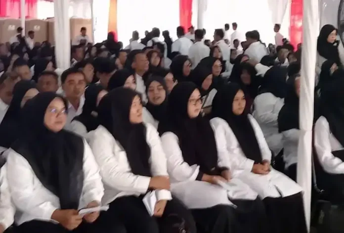 100 Honorer di Lebak Gagal Diusulkan Jadi PPPK, Mayoritas dari Bidang Teknis dan Pendidikan