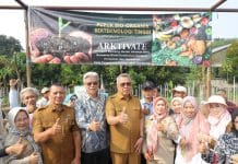 Mustahil Jadi Nyata! Bawang Merah yang Sulit Tumbuh di Tangsel Kini Panen Besar Berkat Teknologi Mikroba